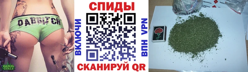 ссылка на мегу   дарнет шоп  Елизово  БУТИРАТ 99% 