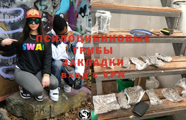 apvp Дмитров