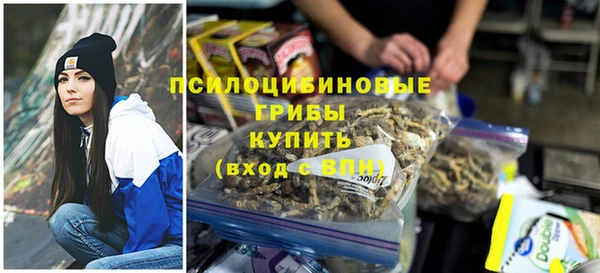 бутират Горно-Алтайск