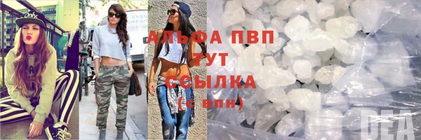 стаф Дмитриев