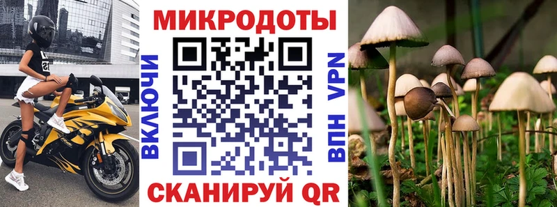 Псилоцибиновые грибы GOLDEN TEACHER  Елизово 
